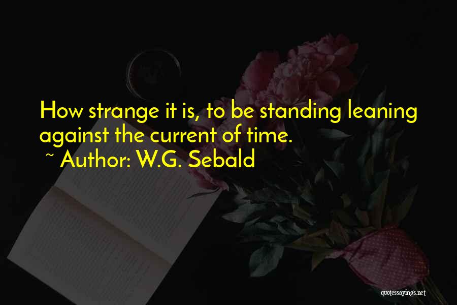 W.G. Sebald Quotes 1013084