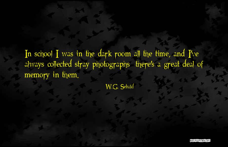W.G. Sebald Quotes 1397534 W.G. Sebald Quotes 1397534