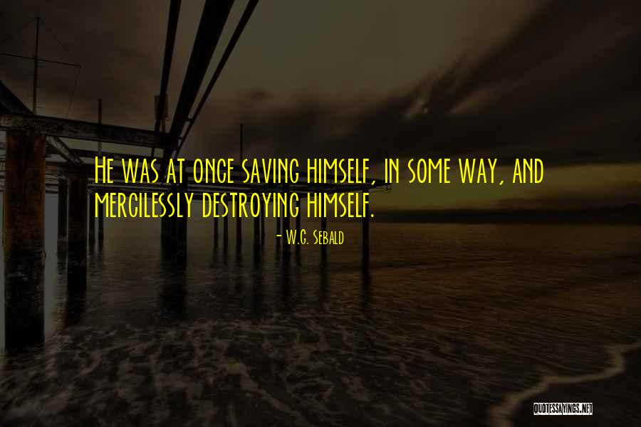 W.G. Sebald Quotes 1558480 W.G. Sebald Quotes 1558480