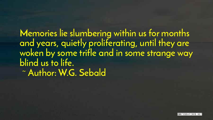 W.G. Sebald Quotes 2071570