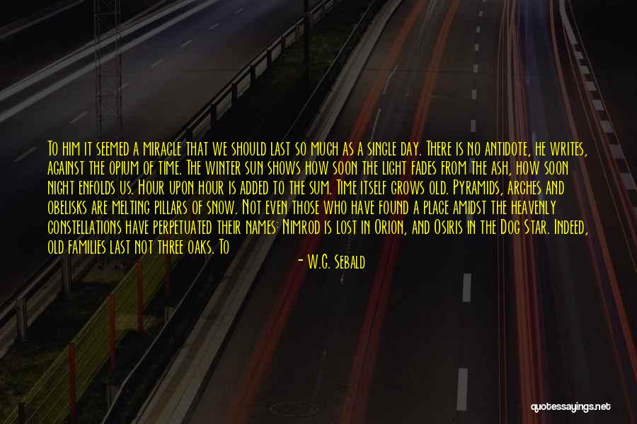 W.G. Sebald Quotes 2081430 W.G. Sebald Quotes 2081430