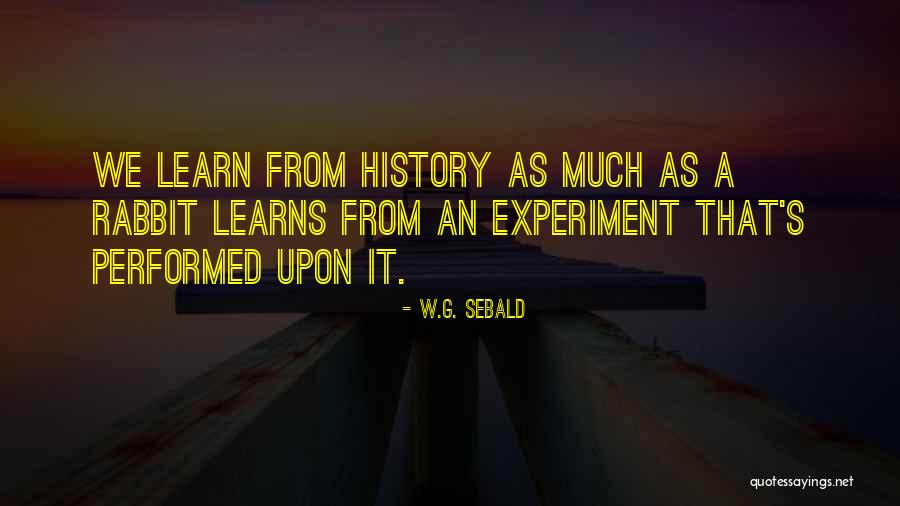 W.G. Sebald Quotes 2259896