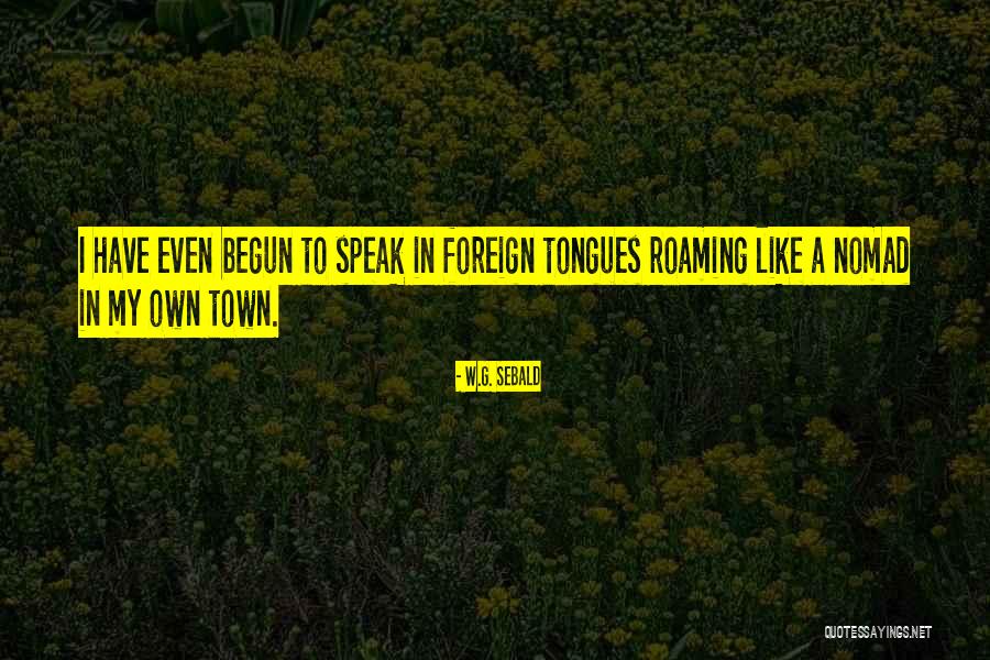 W.G. Sebald Quotes 420544 W.G. Sebald Quotes 420544