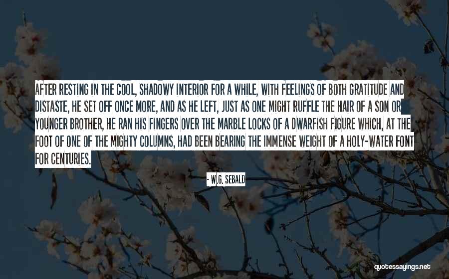 W.G. Sebald Quotes 478763 W.G. Sebald Quotes 478763