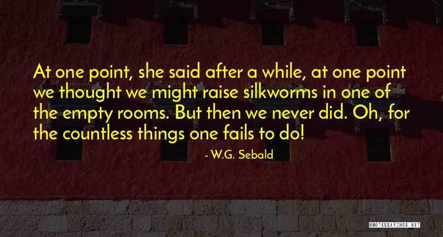 W.G. Sebald Quotes 527388