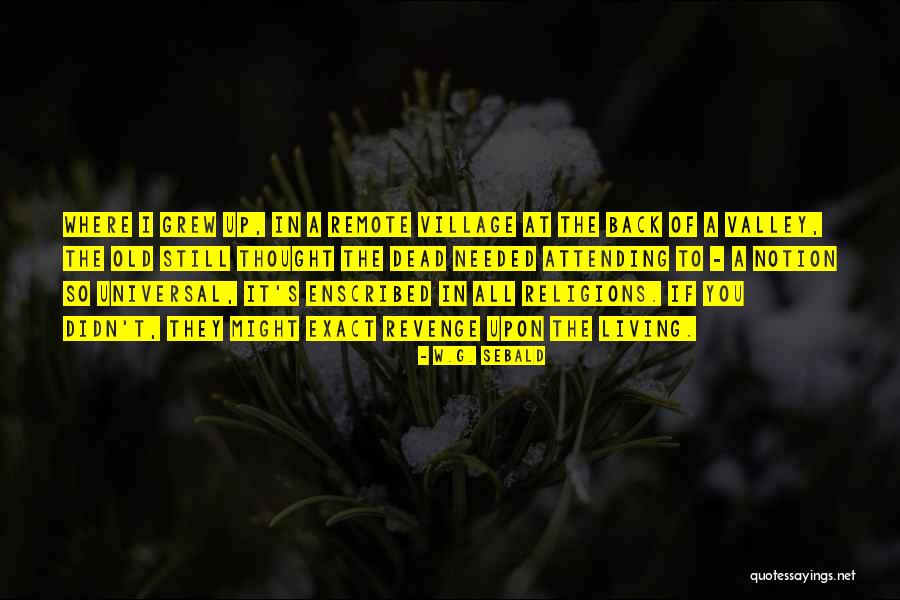 W.G. Sebald Quotes 596156 W.G. Sebald Quotes 596156
