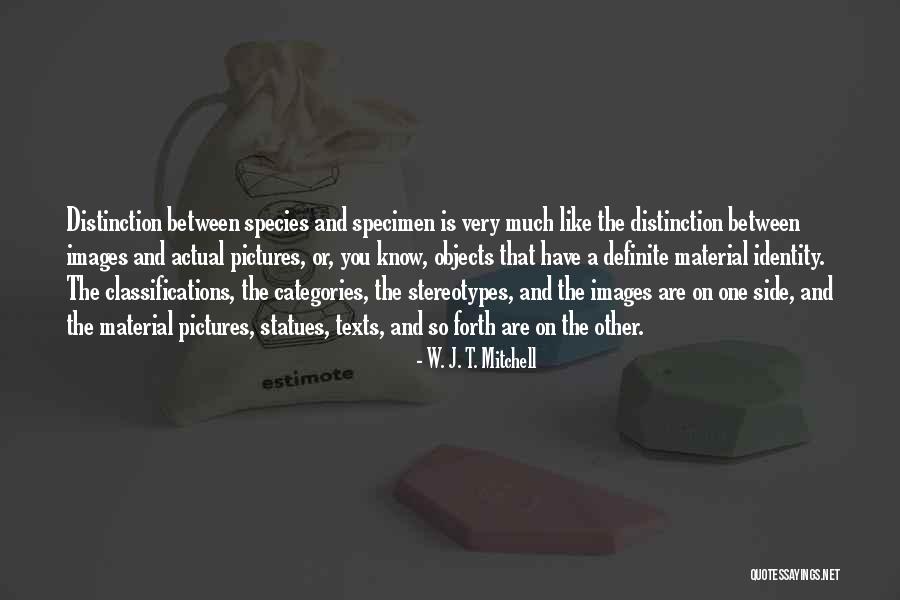 W. J. T. Mitchell Quotes 1809319 W. J. T. Mitchell Quotes 1809319