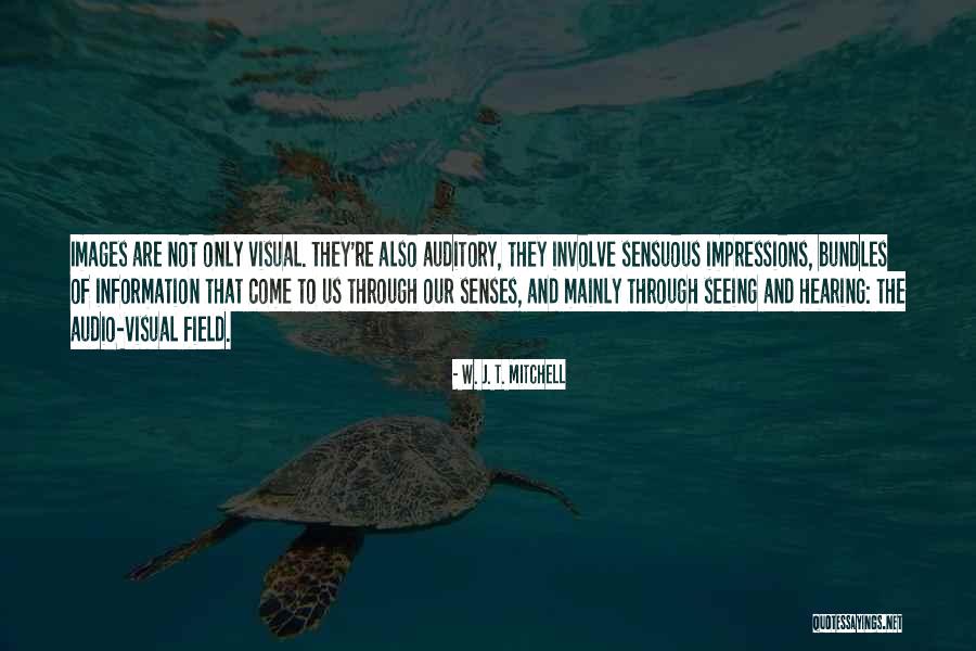 W. J. T. Mitchell Quotes 1823877 W. J. T. Mitchell Quotes 1823877