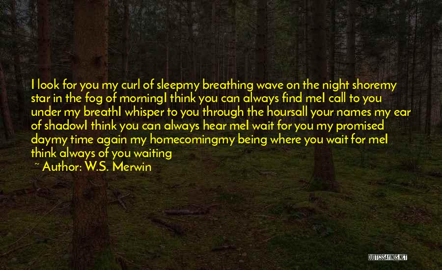 W.S. Merwin Quotes 1366145