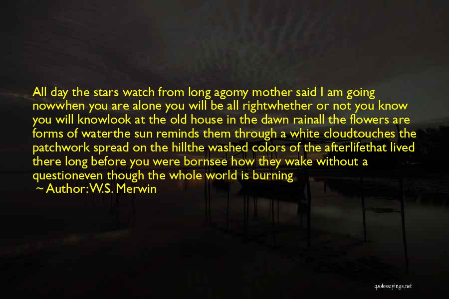 W.S. Merwin Quotes 1402501