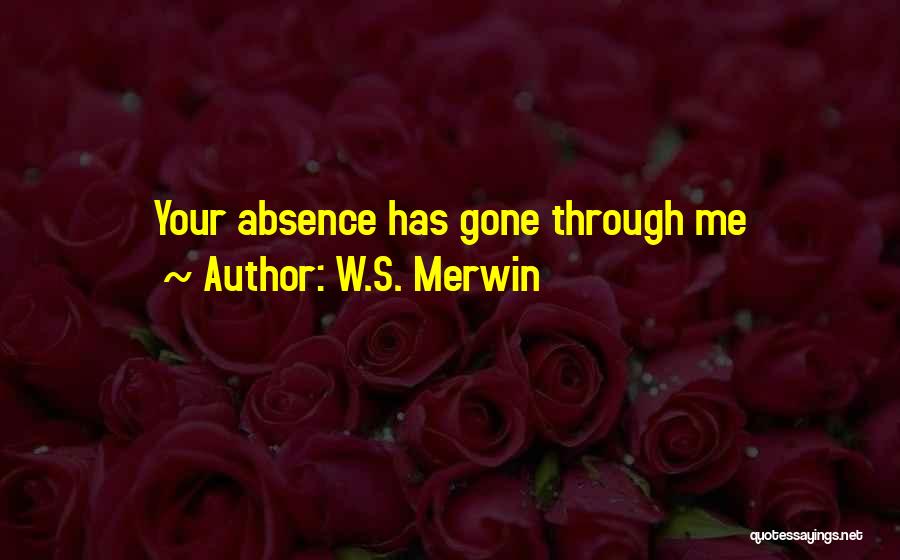 W.S. Merwin Quotes 1550915