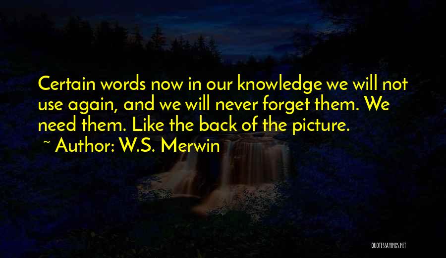 W.S. Merwin Quotes 1732401
