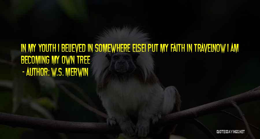 W.S. Merwin Quotes 1849481