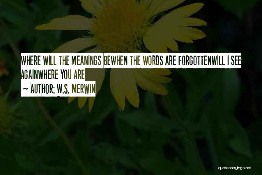 W.S. Merwin Quotes 702764