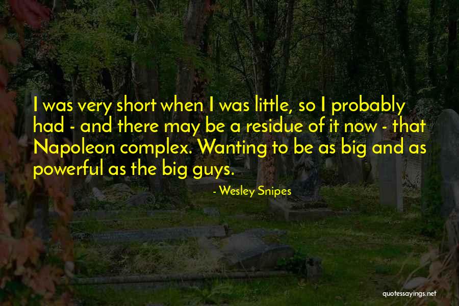 W Snipes Quotes By Wesley Snipes W Snipes Quotes By Wesley Snipes