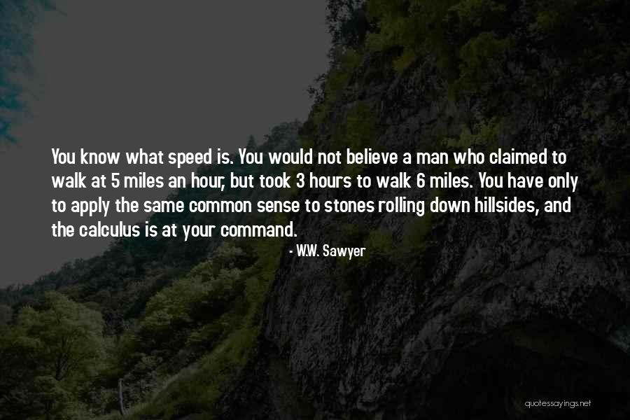 W.W. Sawyer Quotes 2196992