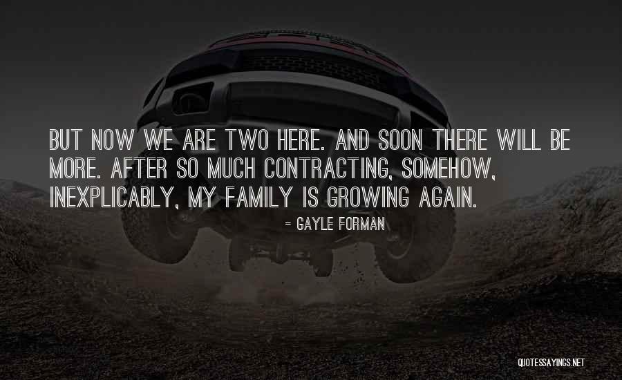 W16x31 Quotes By Gayle Forman W16x31 Quotes By Gayle Forman