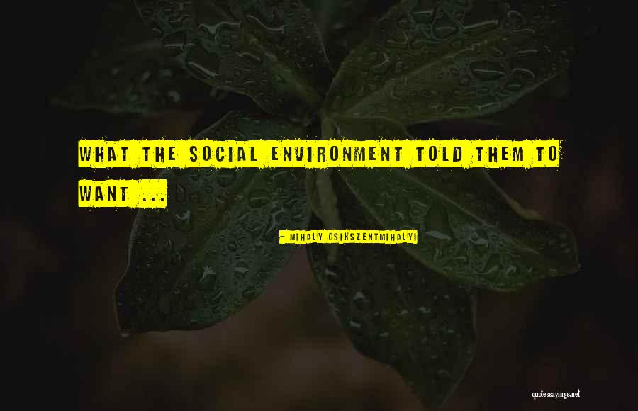 W16x31 Quotes By Mihaly Csikszentmihalyi W16x31 Quotes By Mihaly Csikszentmihalyi