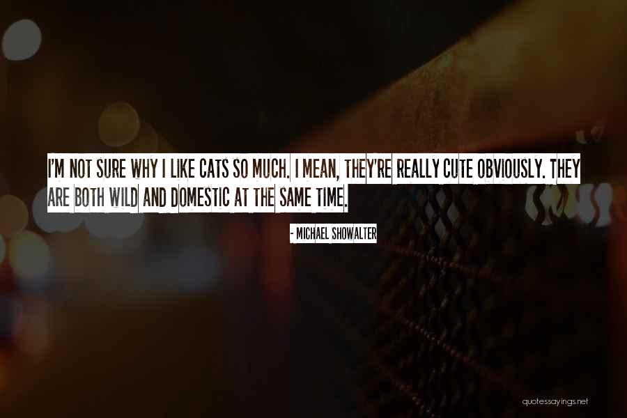 Waadat Quotes By Michael Showalter Waadat Quotes By Michael Showalter