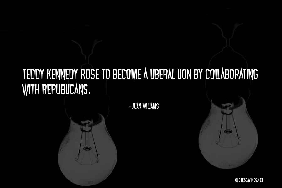 Waaier Hindernis Quotes By Juan Williams Waaier Hindernis Quotes By Juan Williams