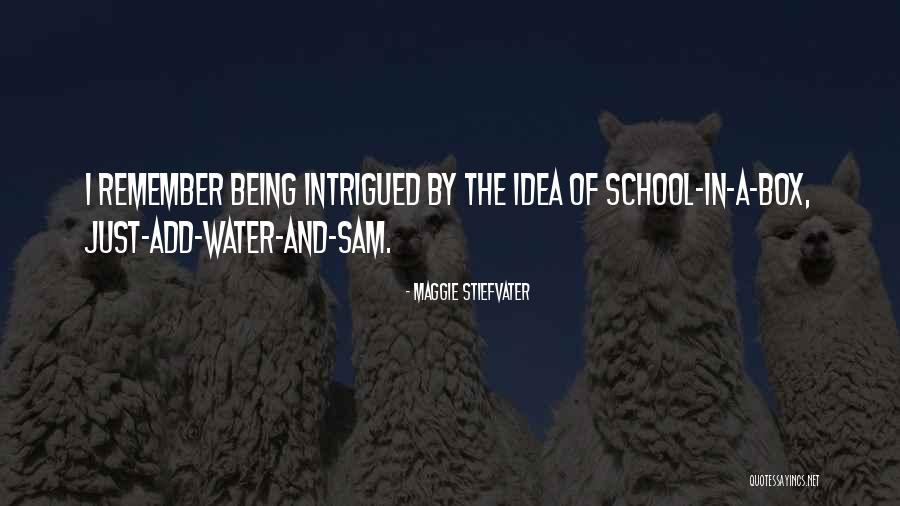 Waarover Gaat Quotes By Maggie Stiefvater Waarover Gaat Quotes By Maggie Stiefvater