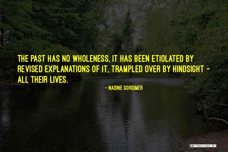 Waas Medic Agent Quotes By Nadine Gordimer Waas Medic Agent Quotes By Nadine Gordimer