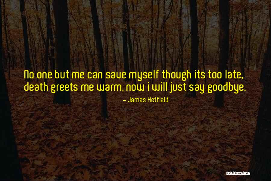 Wachsenden Quotes By James Hetfield Wachsenden Quotes By James Hetfield