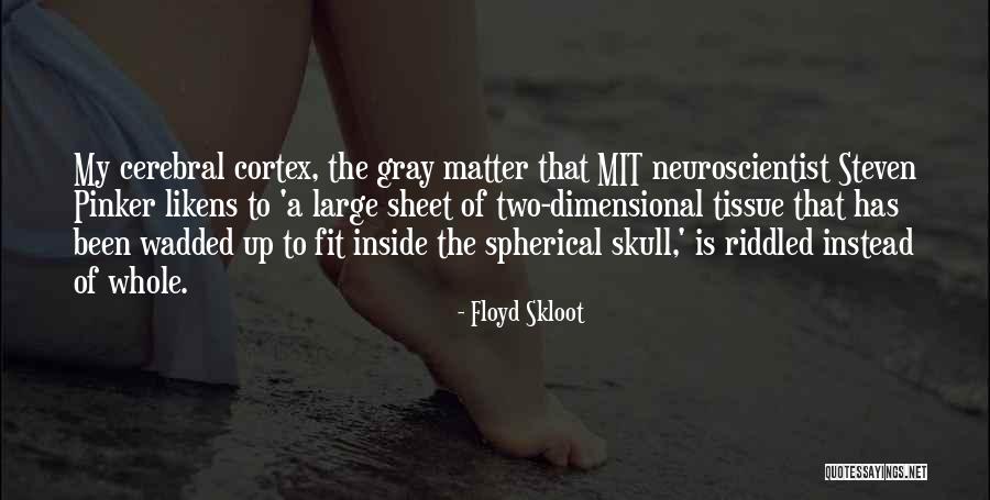 Wadded Up Quotes By Floyd Skloot Wadded Up Quotes By Floyd Skloot