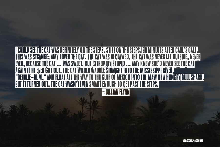 Waddle Waddle Quotes By Gillian Flynn Waddle Waddle Quotes By Gillian Flynn