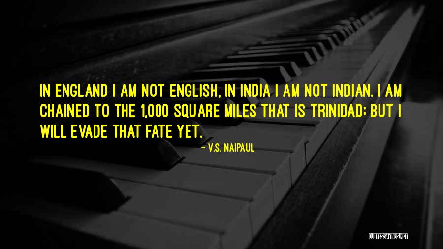Waddlers Quotes By V.S. Naipaul Waddlers Quotes By V.S. Naipaul