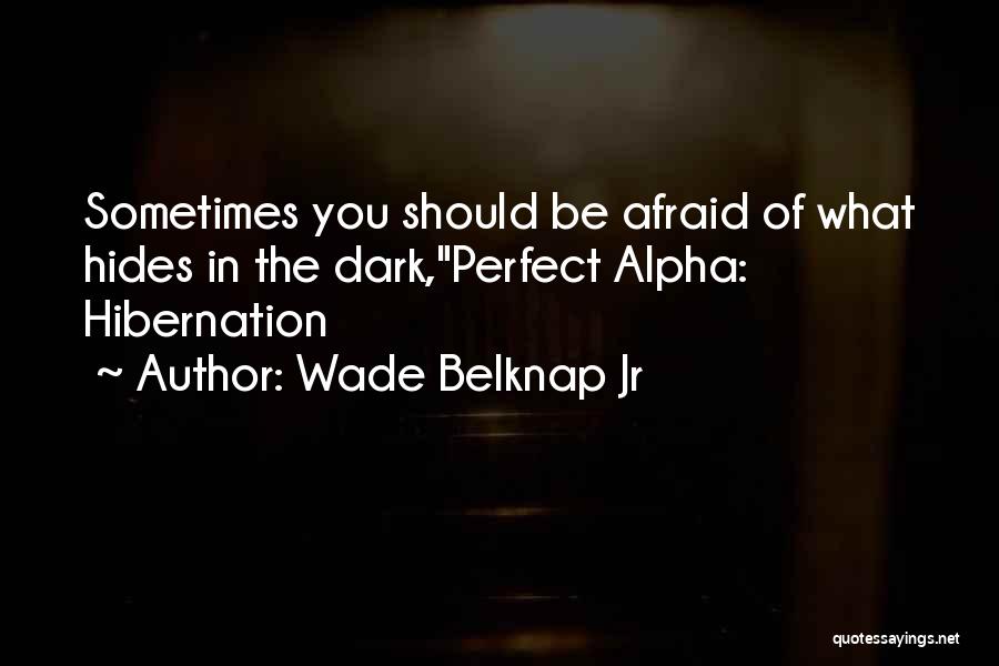 Wade Belknap Jr Quotes 312114