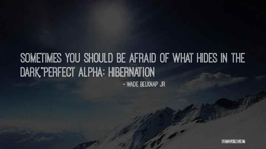 Wade In Quotes By Wade Belknap Jr Wade In Quotes By Wade Belknap Jr