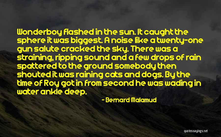 Wading In The Water Quotes By Bernard Malamud Wading In The Water Quotes By Bernard Malamud
