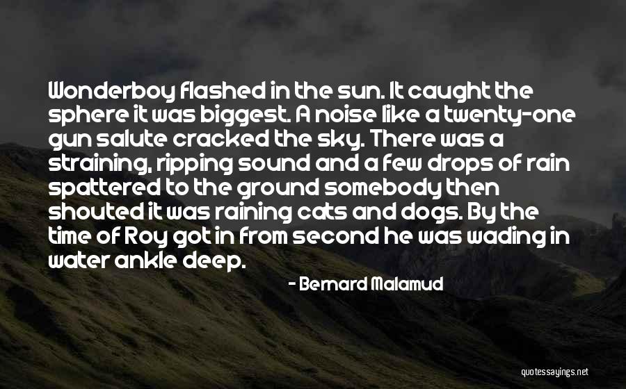 Wading Quotes By Bernard Malamud Wading Quotes By Bernard Malamud