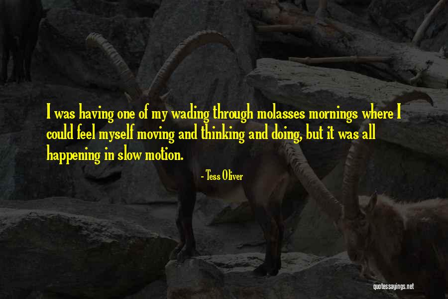 Wading Quotes By Tess Oliver Wading Quotes By Tess Oliver