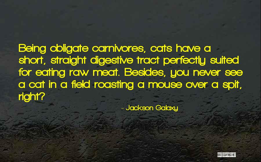 Wafers Cookies Quotes By Jackson Galaxy Wafers Cookies Quotes By Jackson Galaxy