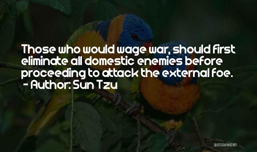 Wage War Quotes By Sun Tzu