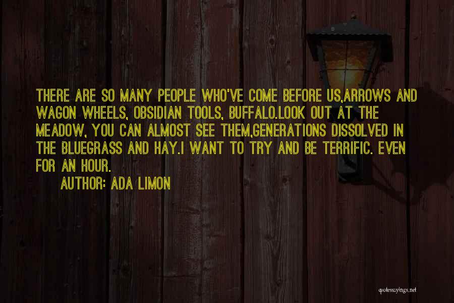 Wagon Wheels Quotes By Ada Limon