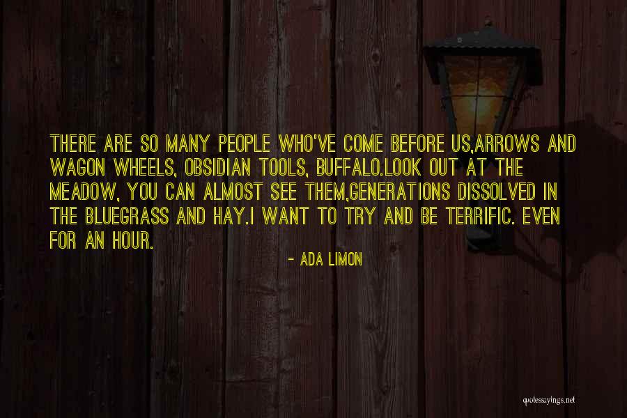 Wagon Wheels Quotes By Ada Limon Wagon Wheels Quotes By Ada Limon