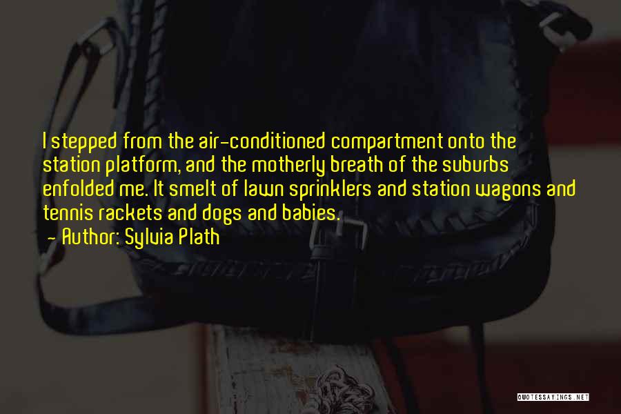 Wagons Quotes By Sylvia Plath