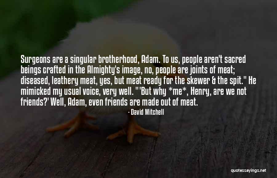 Wagtails Swimming Quotes By David Mitchell Wagtails Swimming Quotes By David Mitchell