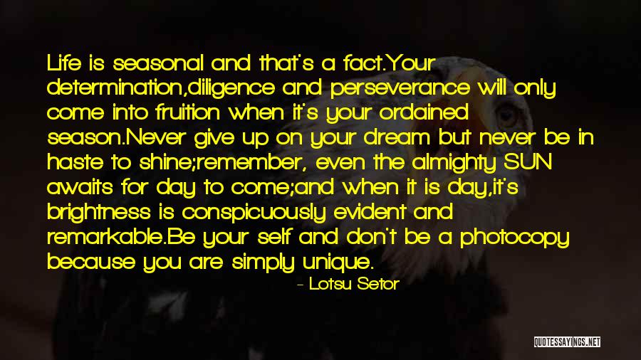 Waheedullah Waheed Quotes By Lotsu Setor Waheedullah Waheed Quotes By Lotsu Setor