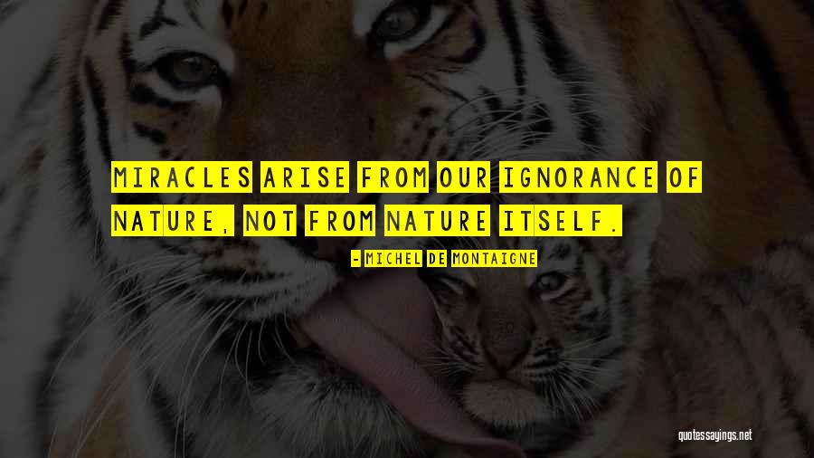 Wahid Nawabi Quotes By Michel De Montaigne Wahid Nawabi Quotes By Michel De Montaigne