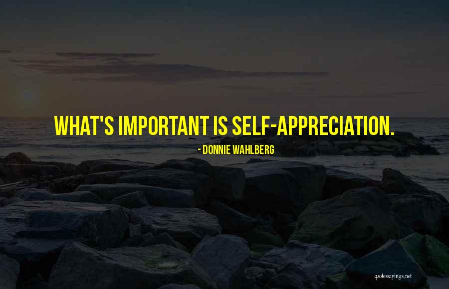 Wahlberg Quotes By Donnie Wahlberg
