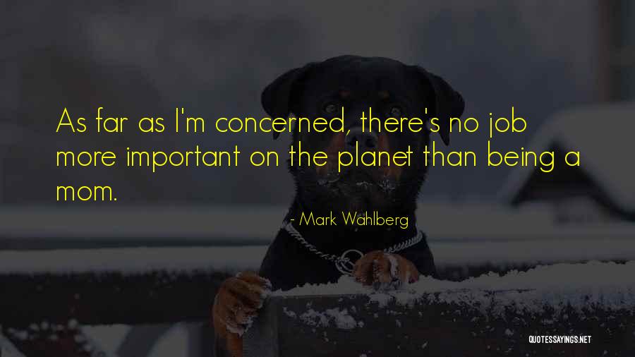 Wahlberg Quotes By Mark Wahlberg Wahlberg Quotes By Mark Wahlberg