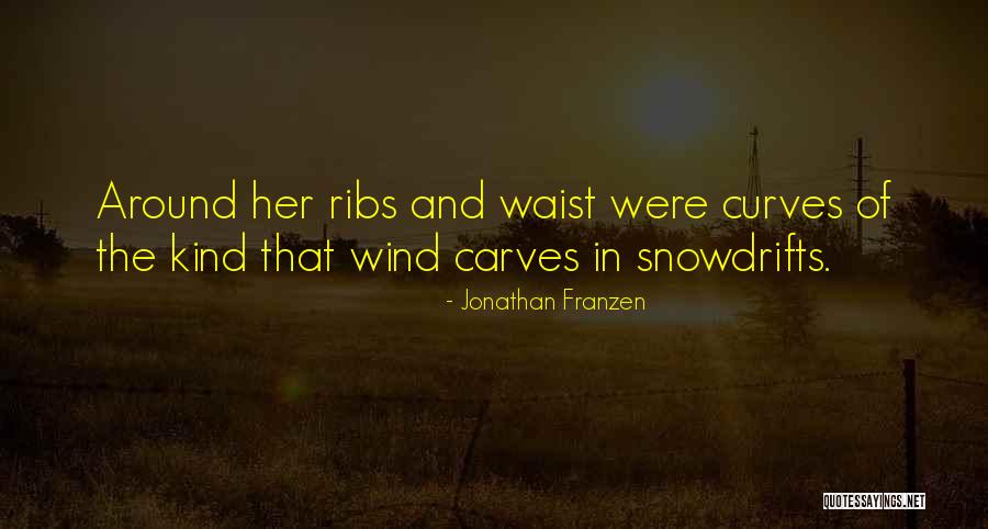 Waist Quotes By Jonathan Franzen