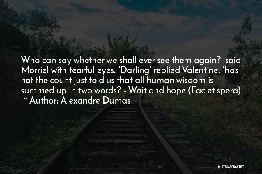 Wait And See Quotes By Alexandre Dumas