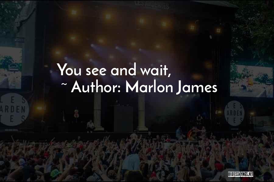 Wait And See Quotes By Marlon James