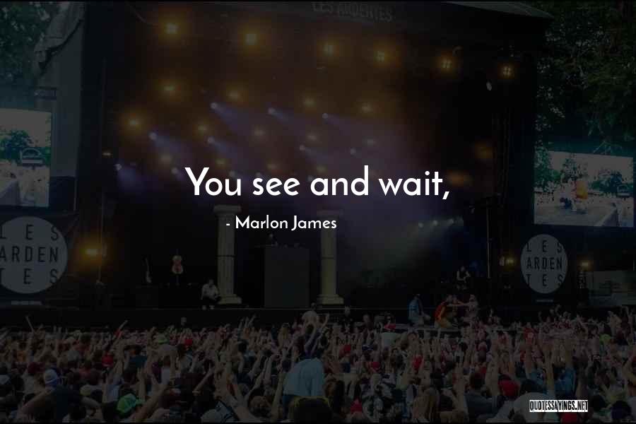 Wait And See Quotes By Marlon James