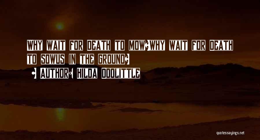 Wait For Death Quotes By Hilda Doolittle